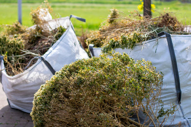 Best Construction Debris Removal  in Lusby, MD